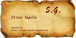Slisz Gyula névjegykártya